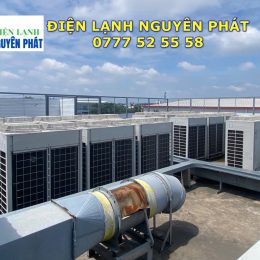 Máy sấy lạnh rau quả công nghiệp
